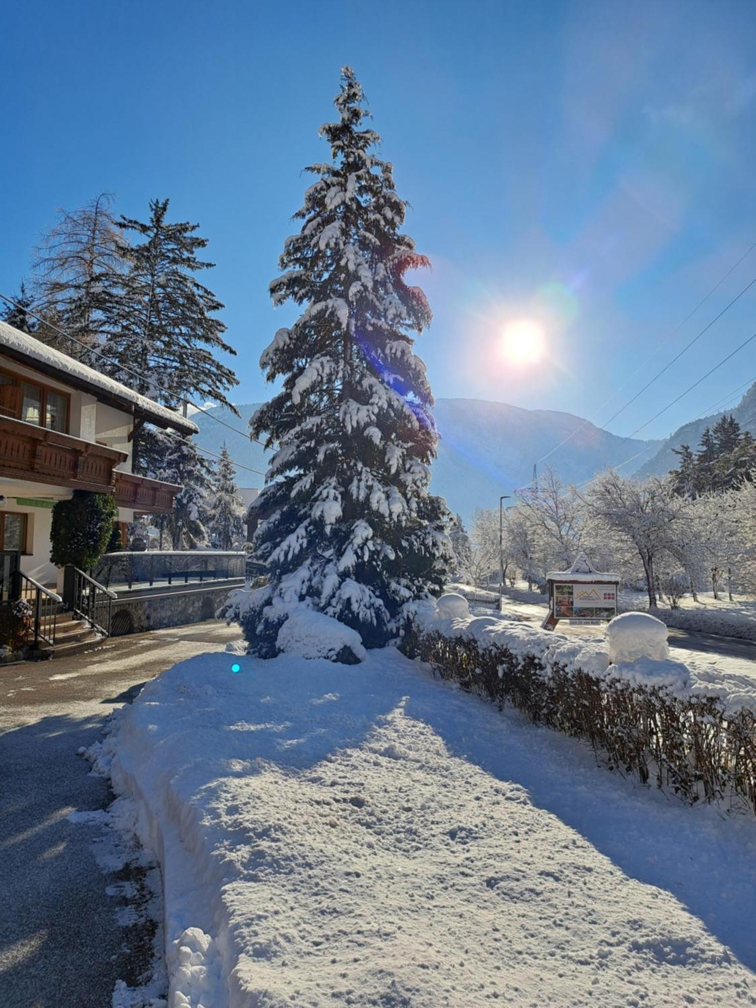 Hotel Gaestehaus Almrausch, Ferienanlage Mit Pool à Nassereith Extérieur photo